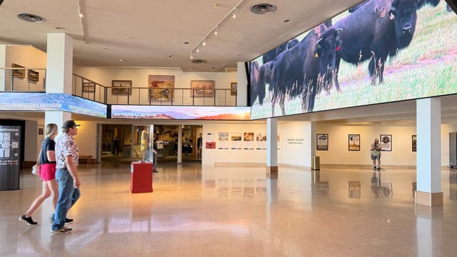 Buffalo Bill – Center of the West Museum — image 4