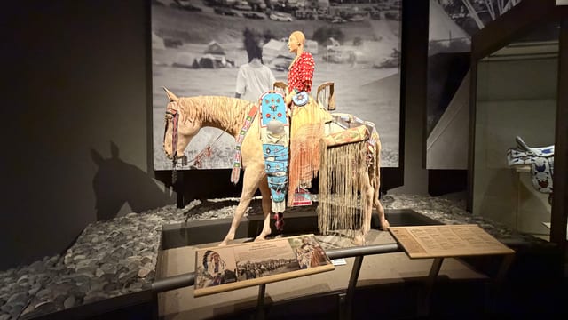 Buffalo Bill – Center of the West Museum — image 7