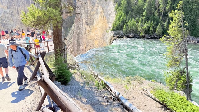 Day 05 - Yellowstone (Part 1 of 2) — image 27