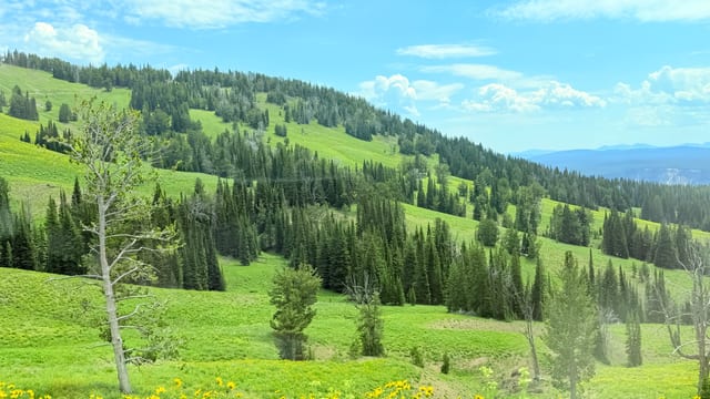 Day 05 - Yellowstone (Part 1 of 2) — image 14