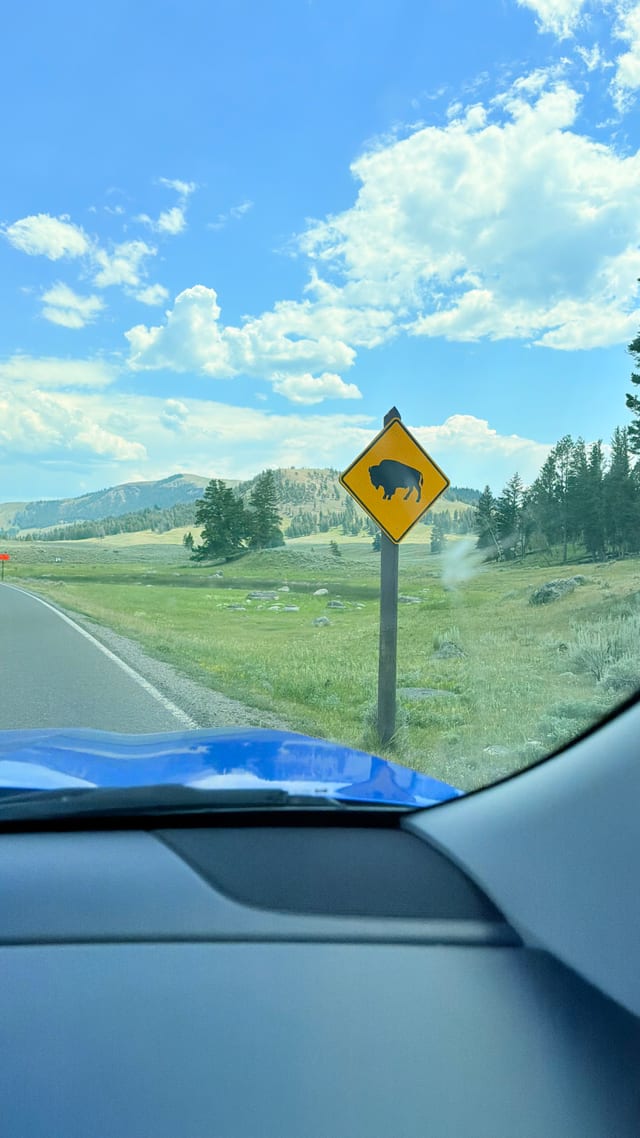 Day 05 - Yellowstone (Part 1 of 2) — image 15