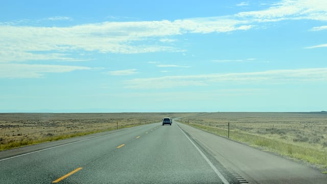 Day 06 - Wild Mustangs — image 1