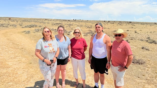 Day 06 - Wild Mustangs — image 11