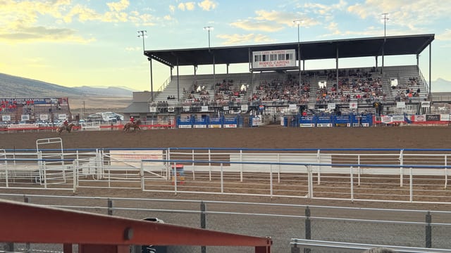 Day 06 - Wild Mustangs — image 19