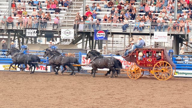 Day 06 - Wild Mustangs — image 20