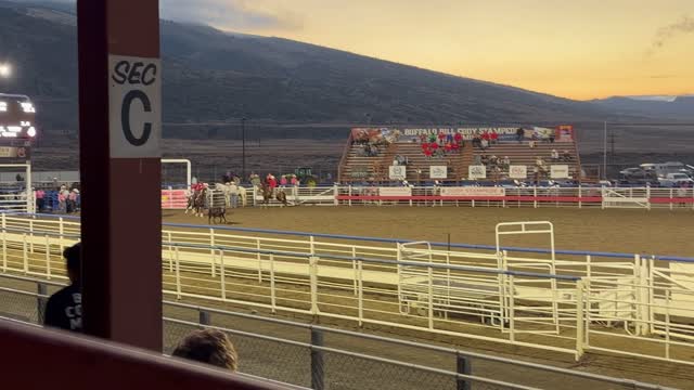 Day 06 - Wild Mustangs — video 21