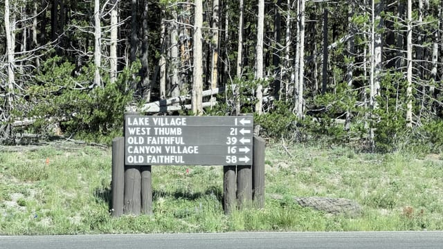 Day 07 - Yellowstone (Part 2 of 2) — image 2