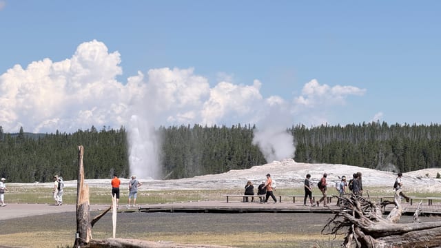 Day 07 - Yellowstone (Part 2 of 2) — image 3