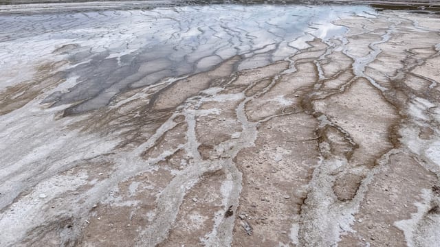 Day 07 - Yellowstone (Part 2 of 2) — image 10
