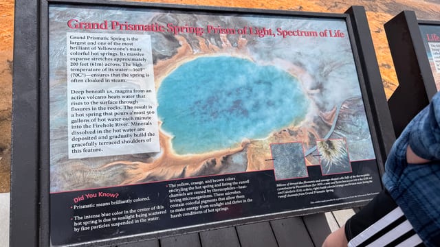 Day 07 - Yellowstone (Part 2 of 2) — image 12