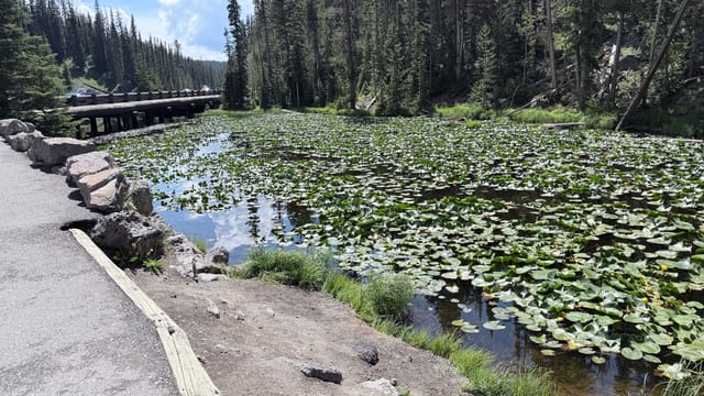 Day 07 - Yellowstone (Part 2 of 2) — image 14