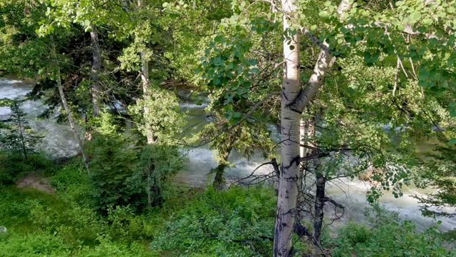 Day 1 - Rock Creek Resort in Red Lodge, MT — video 7
