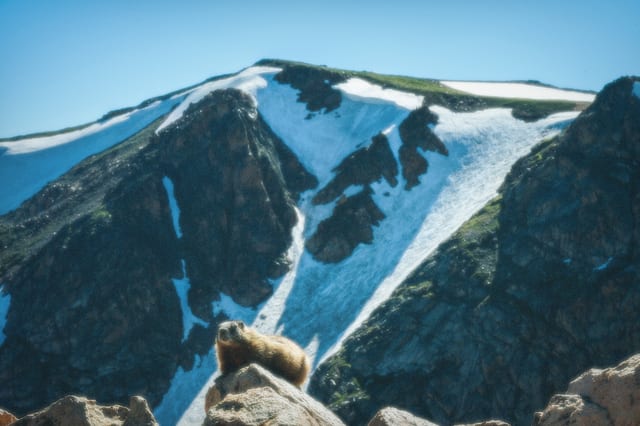 Explore the Beartooth Highway — image 3